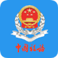 重庆电子税务局官方手机版