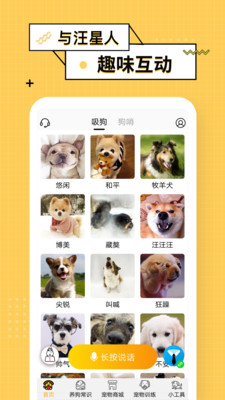 狗语翻译器APP