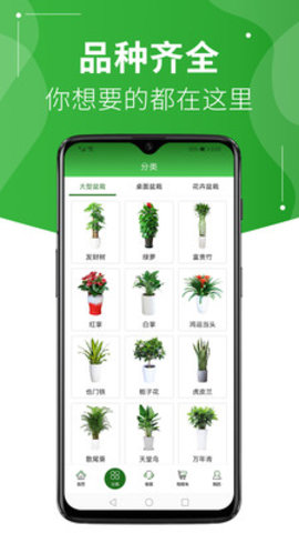 绿植到家app