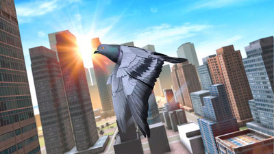 鸽子生存模拟游戏下载