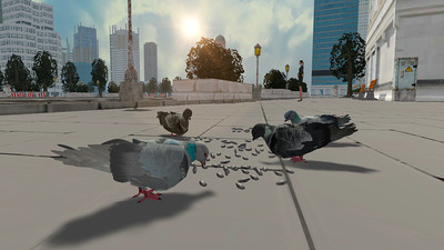 鸽子生存模拟游戏下载