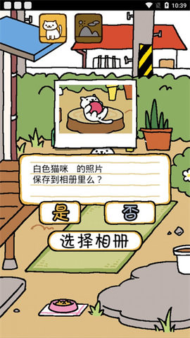 猫咪后院